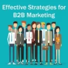 Internet Marketing Strategies For B2b?